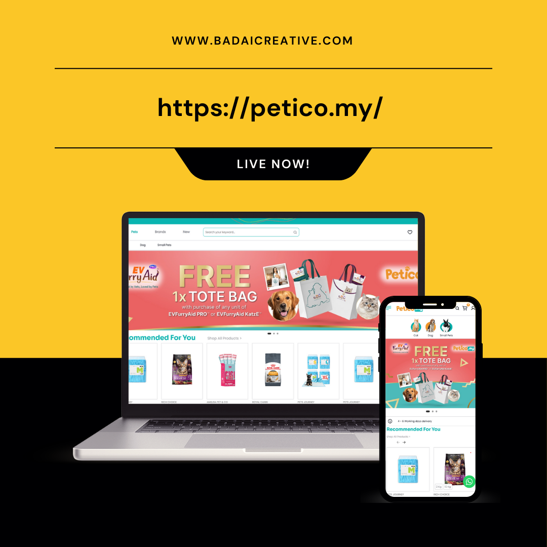 Ecommerce Project 1