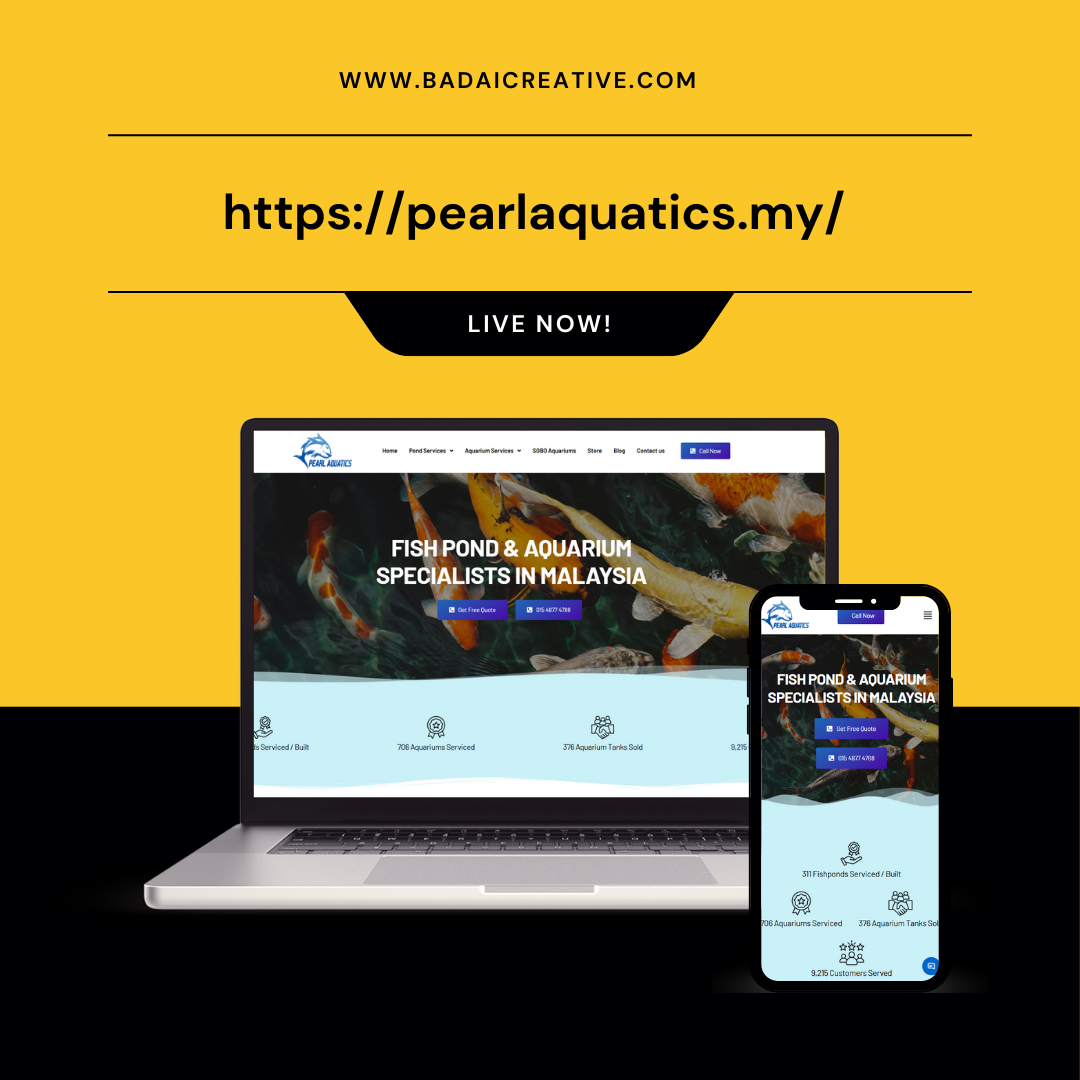 Ecommerce Project 1